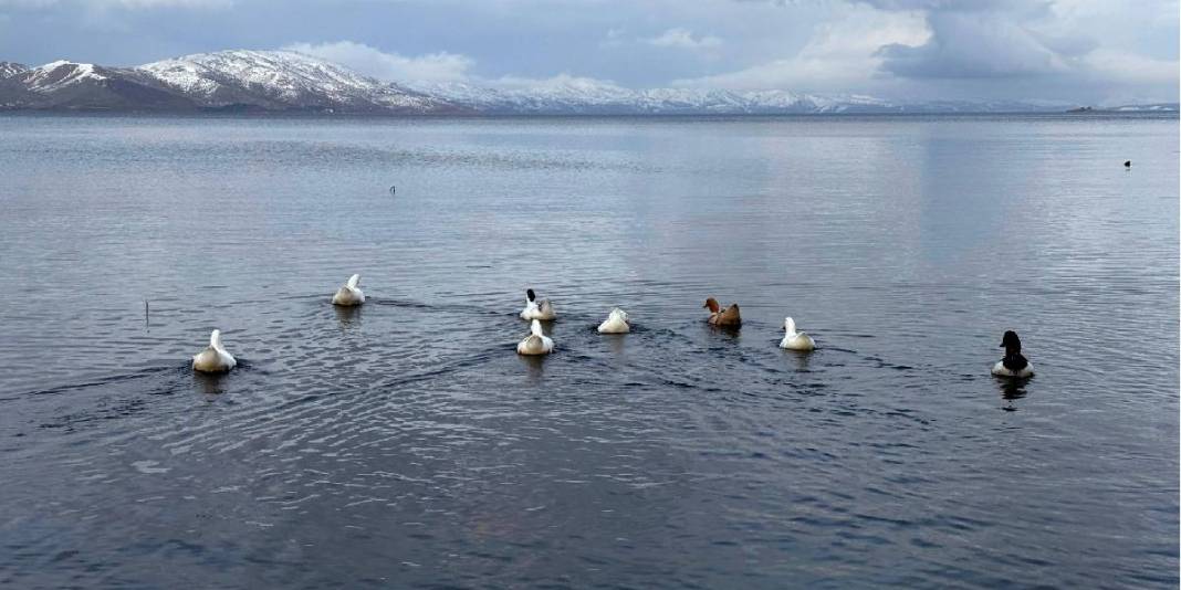 Gören Grönland sansa da burası Elazığ: Bu manzaradan etkilenmemek ne mümkün! 5